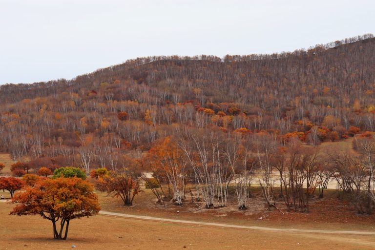 Unleashing the Wanderlust: Embracing the Beauty of Outdoor Adventures